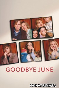 Goodbye June (2025) ORG Hollywood Hindi Dubbed Movie
