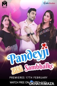 Pandeyji Zara Sambhalke (2021) Hindi Season 1 Complete Show